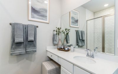 Trinity Master bath